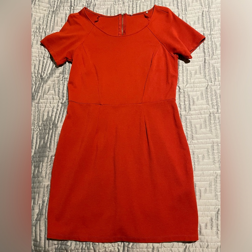 Coral Orange Work Dress - gold colored zipper. So trendy and fun!